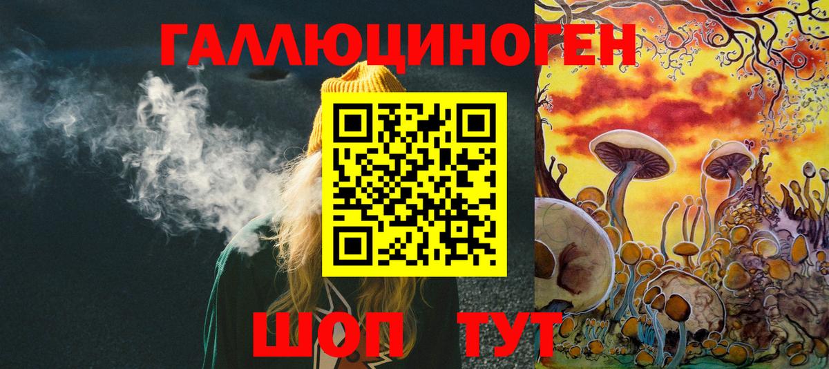 Сафоново  Галлюциногенные грибы Psilocybine cubensis  Вход с VPN 